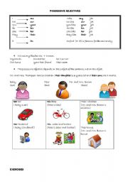 English Worksheet: possessive adjectives