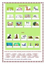 English Worksheet: Pets and farm animals, a worksheet
