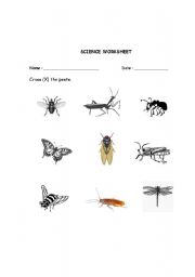 English worksheet: Cross the pests.