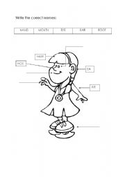 English Worksheet: Parts of the body