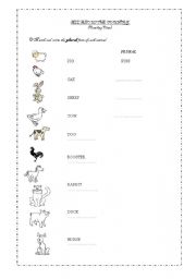 English Worksheet: ALL ABOUT THE FARM