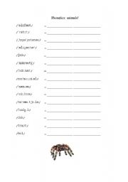 English Worksheet: Phonetics Animals