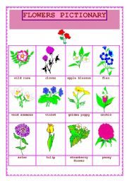 FLOWERS PICTIONARY (2) - ESL worksheet by vivanglais