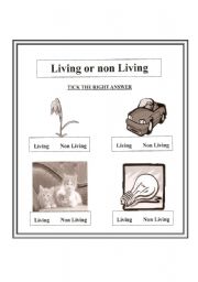 English worksheet: LIVING, NON-LIVING