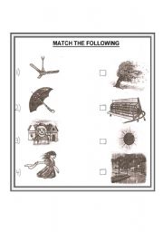 English worksheet: Match the Following
