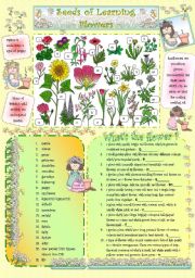 Seeds of Learning - Flowers -