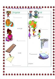 English Worksheet: Singular and Plural Noun