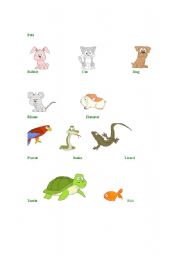 English worksheet: PETS