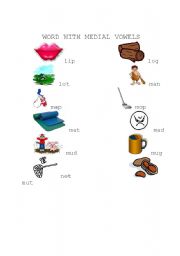 English Worksheet: Words with Medial Vowels
