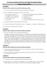 English Worksheet: The Curious Incident of the Dog in the Nightime