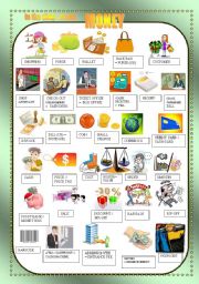 English Worksheet: MONEY - in the shop: nouns - pictionary