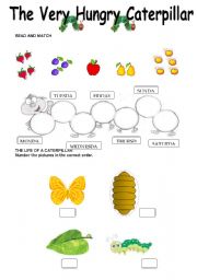 The Very Hungry Caterpillar - Worksheet - 