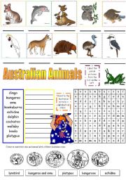 AUSTRALIAN ANIMALS (PART 2)