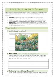 Live in the rainforest - ESL worksheet by hain
