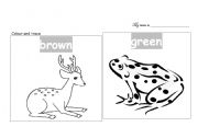 English worksheet: Colour the animals