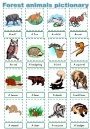 English Worksheet: Forest animal pictionary