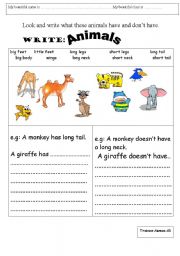 English Worksheet: has and doesnt have