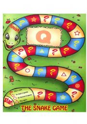 THE SNAKE GAME