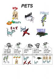 English Worksheet: pets