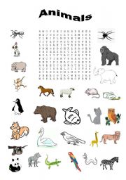 Word search - animals - ESL worksheet by tuuli