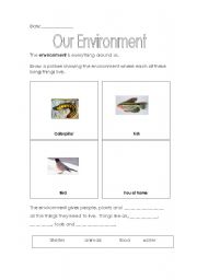 English worksheet: our environment