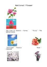English worksheet: National Flower