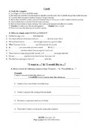English Worksheet: could