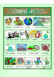 Environment - Pictionary