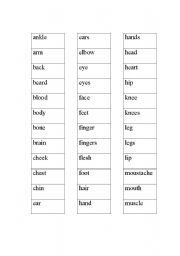 English Worksheet: Beginning low Vocabulary