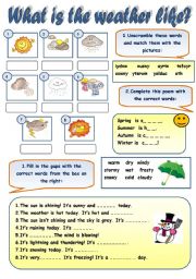 English Exercises: Vocabulary Practice!!