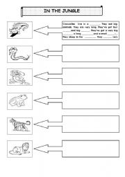 DESCRIBING ANIMALS - ESL worksheet by musem