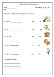 English worksheet: literature test