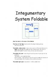 English worksheet: Integumentary System Foldable