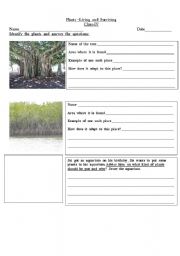 English Worksheet: plants living and surviving-1