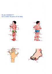 English worksheet: Parts of the body - Part II