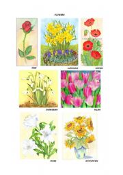 English worksheet: spring flowers