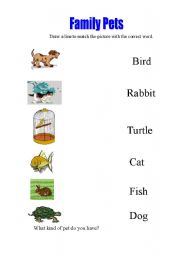 English Worksheet: Family Pets