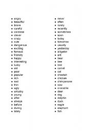 English worksheet: basic english vocabulary