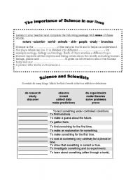 English Worksheet: science