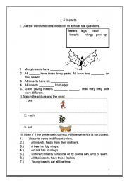 English worksheet: insects