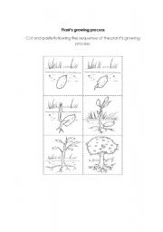 English Worksheet: plants growing process