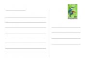 English worksheet: Template for Postcard