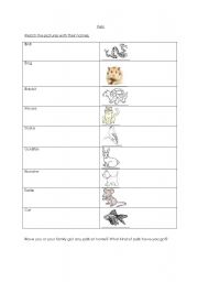 English Worksheet: pets