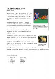 English worksheet: Pet fish learnt tricks