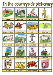 IN THE COUNTRYSIDE PICTURE DICTIONARY