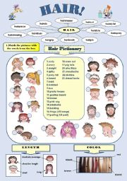 HAIR! - fun vocabulary set: hair pictionary and hair idioms/2 pages with answer keys