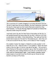 English worksheet: Trawling