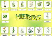 herbs