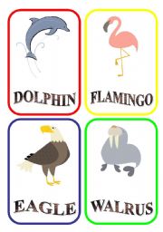 ANIMAL FLASH-CARDS - PART 9