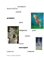 English worksheet: Animals Australia